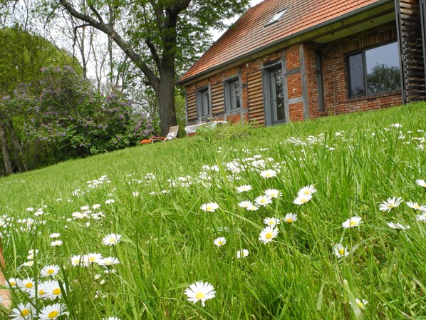 Property grounds - Fantastic secluded location on the river Aland in a nature reserve. (Geestgottberg)