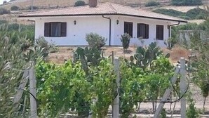 A white building with a tiled roof, surrounded by vineyards. - We rent whole year round indipendent Vacation house and Apartment from 2-10 pers (Italien)
