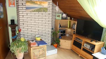 Tv, dvd-spelare, böcker och ett filmbibliotek