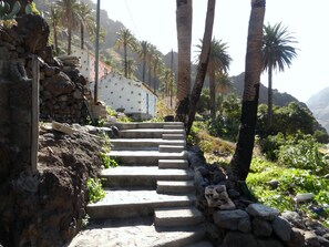 Eine Treppe aus Stein führt einen Hügel hinauf, umgeben von Palmen und einem Gebäude mit weißer Fassade.