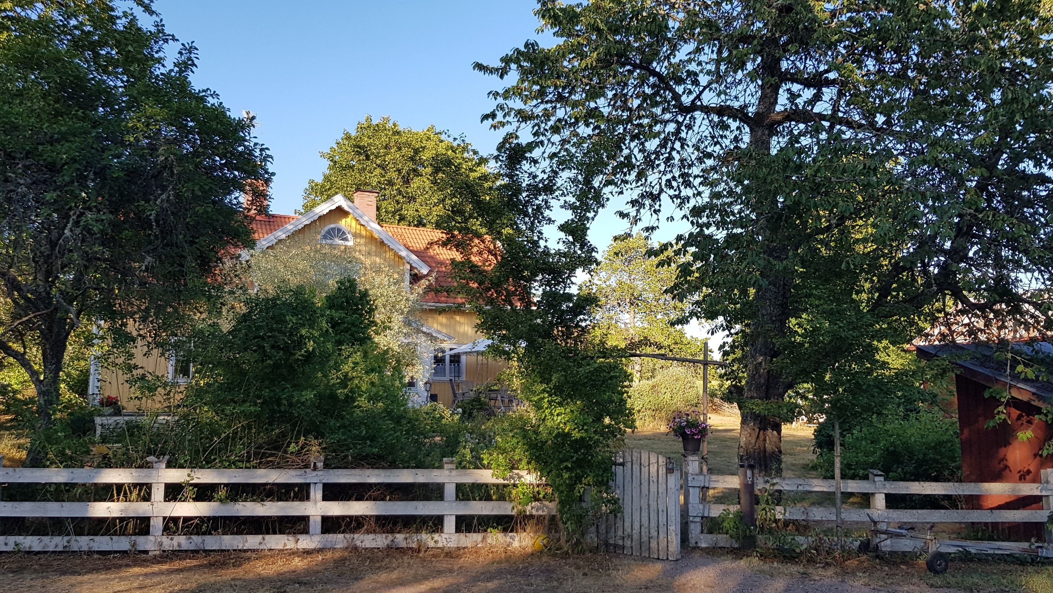 Àrea exterior de l'allotjament