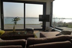 TV, fireplace, DVD player, books - Large holiday home with its own beach, fireplace, sauna, right on the lake, near Leipzig (Löbnitz am See)