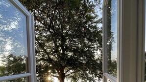 A view through a window of a tree-lined yard with a grassy area and a body of water in the background. - Vacation home "Backhaus" directly on the lake at Gut Wittmoldt (Wittmoldt)