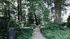 A gravel path in a wooded area with a sculpture on the left. - Vacation home "Backhaus" directly on the lake at Gut Wittmoldt (Wittmoldt)