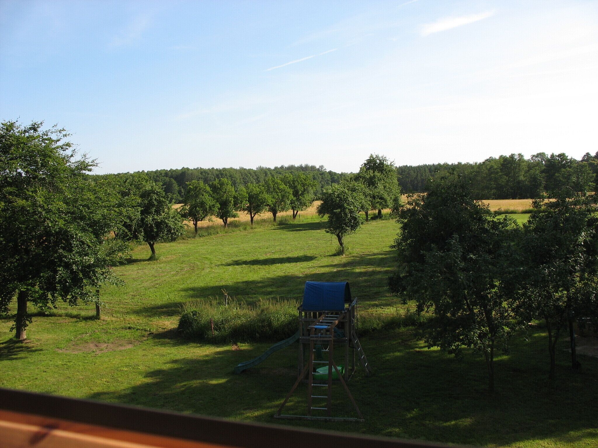 Ein Spielplatz mit Rutsche und Klettergerüst, umgeben von Bäumen und Rasen.