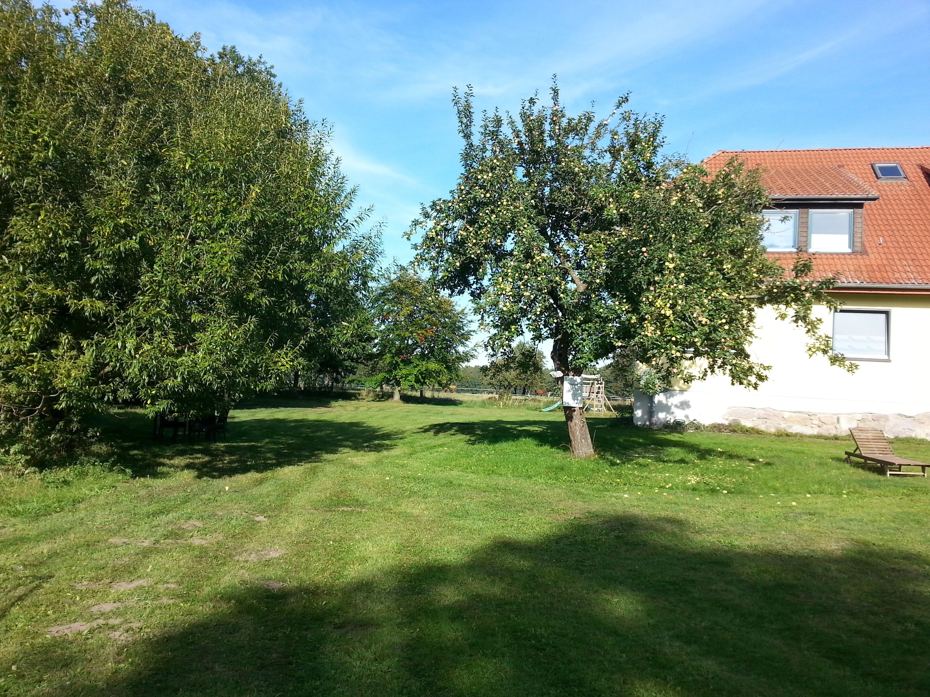 Ein grüner Rasen mit einem Baum und einem weißen Gebäude mit rotem Dach.