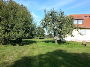Ein grüner Rasen mit einem Baum und einem weißen Gebäude mit rotem Dach.
