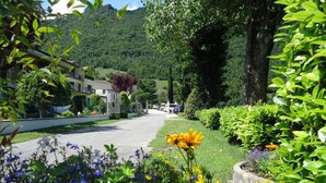 Una calle residencial con casas, abundante vegetación y montañas al fondo.