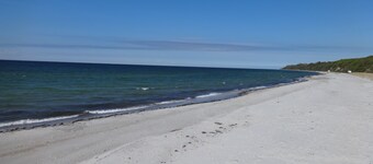 Omakotitalo, jolla on iso puutarha hidastaa