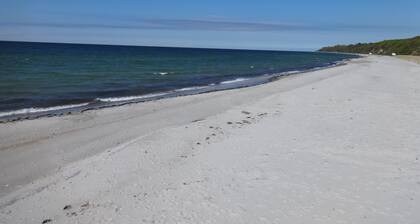 Detached house with a large garden to slow down