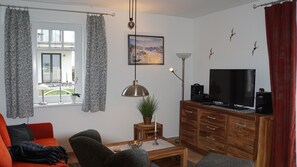 LED-Fernseher, Kamin, DVD-Player, Bücher