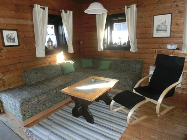 TV, fireplace, DVD player, books