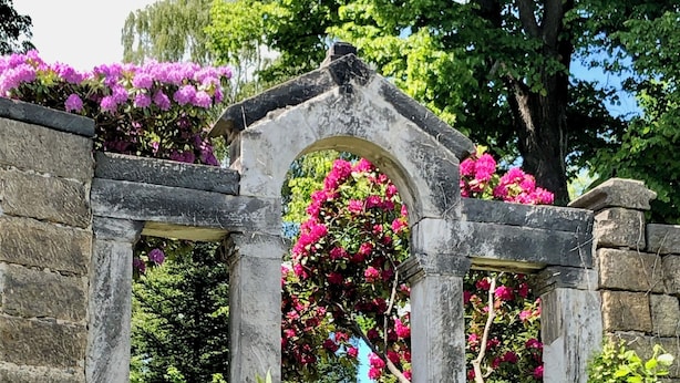 A stone archway with blooming pink flowers in a lush garden setting. - large family friendly holiday home with terrace and garden close to the old town (Görlitz)