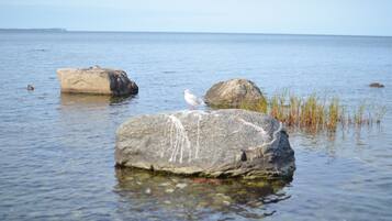 In Strandnähe, Liegestühle