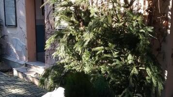 Details aan de buitenkant