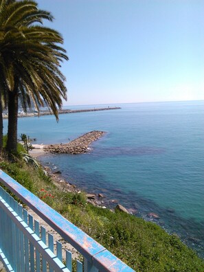 A coastal view with a rocky breakwater, clear blue water, and a palm tree. - Hillside overlooking the sea (italien)