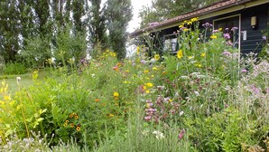 A garden with a variety of flowers and a building with a dark facade and a sloped roof. - Cozy "Schwedenhaus" with a beautiful view, located on the water (Idsegahuizum)