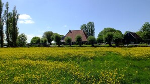 Property grounds - Cozy "Schwedenhaus" with a beautiful view, located on the water (Idsegahuizum)