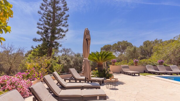 Un espace aménagé au bord de la piscine, avec des chaises longues et une petite table, entouré de plantes en pot et d’arbres.