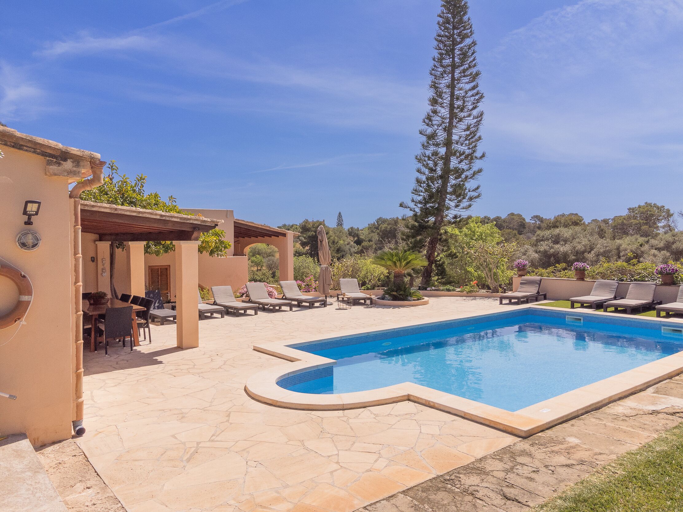 A swimming pool with lounge chairs and a pergola, surrounded by greenery and a clear sky.