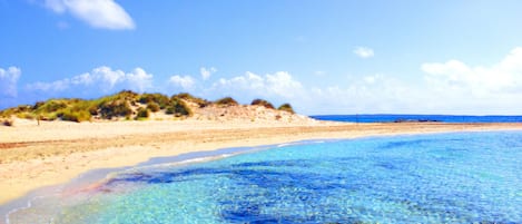 On the beach, sun-loungers