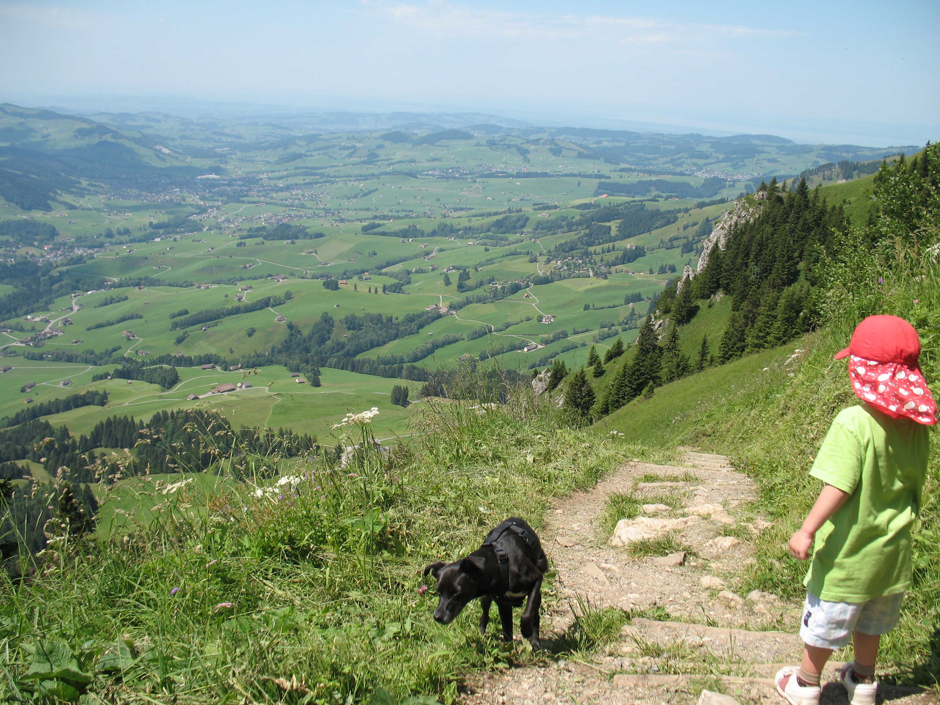 Un niño y un perro en un sendero cubierto de hierba, con vistas a un valle salpicado de casas y vegetación.