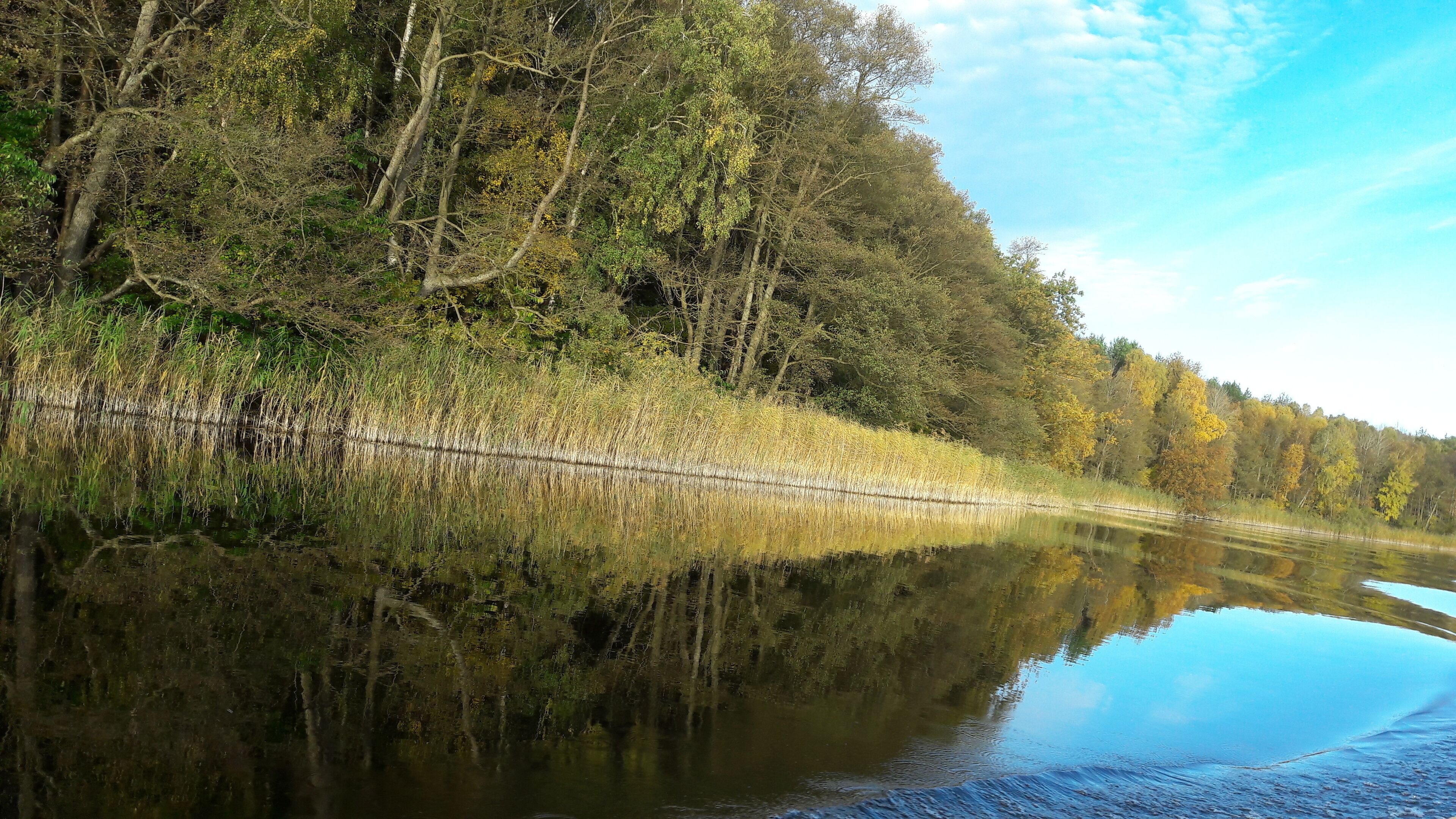 Un lago tranquilo con árboles frondosos que se reflejan en la superficie del agua.