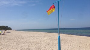 Una spiaggia con una bandiera su un palo.