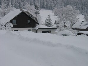 Exterior - comfortable in a quiet, wooded area, hiking and biking directly from the holiday home (Klingenthal/ Mühlleithen)