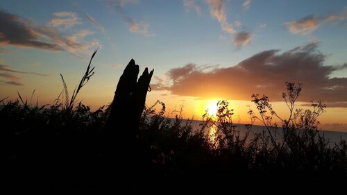 Family friendly holiday home near the beach