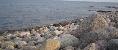 Nära stranden