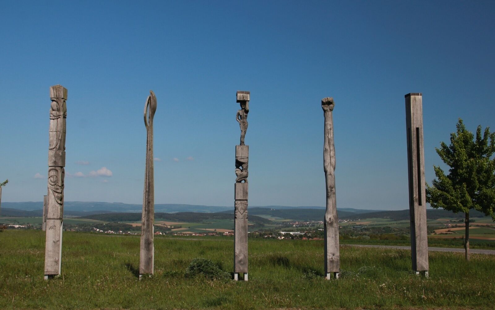 A row of wooden sculptures in a grassy field with a clear view of a distant town and hills.