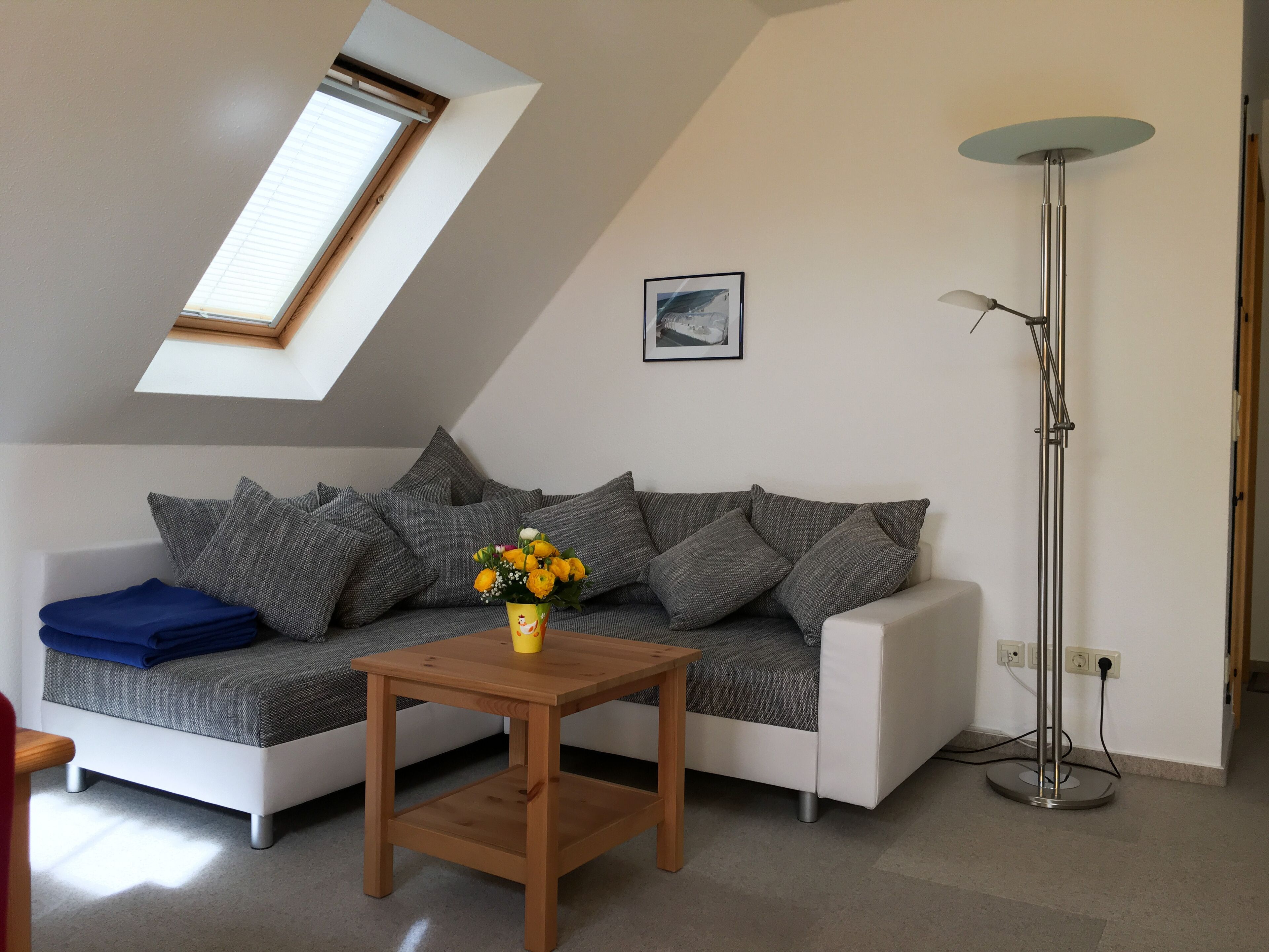 TV, DVD player, books