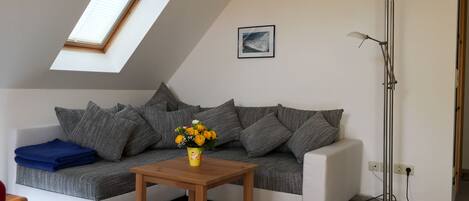 TV, DVD player, books