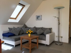 TV, DVD player, books