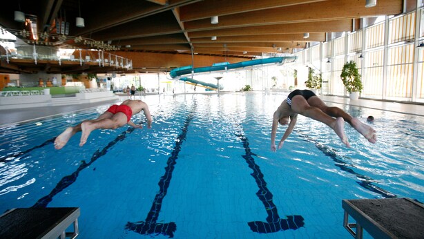 Piscina interior con carriles delimitados, un trampolín y techo de madera.