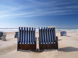 Liegestühle mit blauen und weißen Streifen an einem sandigen Strand.