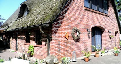 Holiday Birkenfee, relax in the Moor and cycling in the beautiful Elbe!