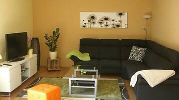 Fernseher, DVD-Player, BĂŒcher