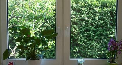 Une maison confortable pour vous seul - endroit calme et grande infrastructure