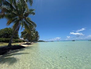 A beach with clear turquoise water, palm trees, and a distant pier.