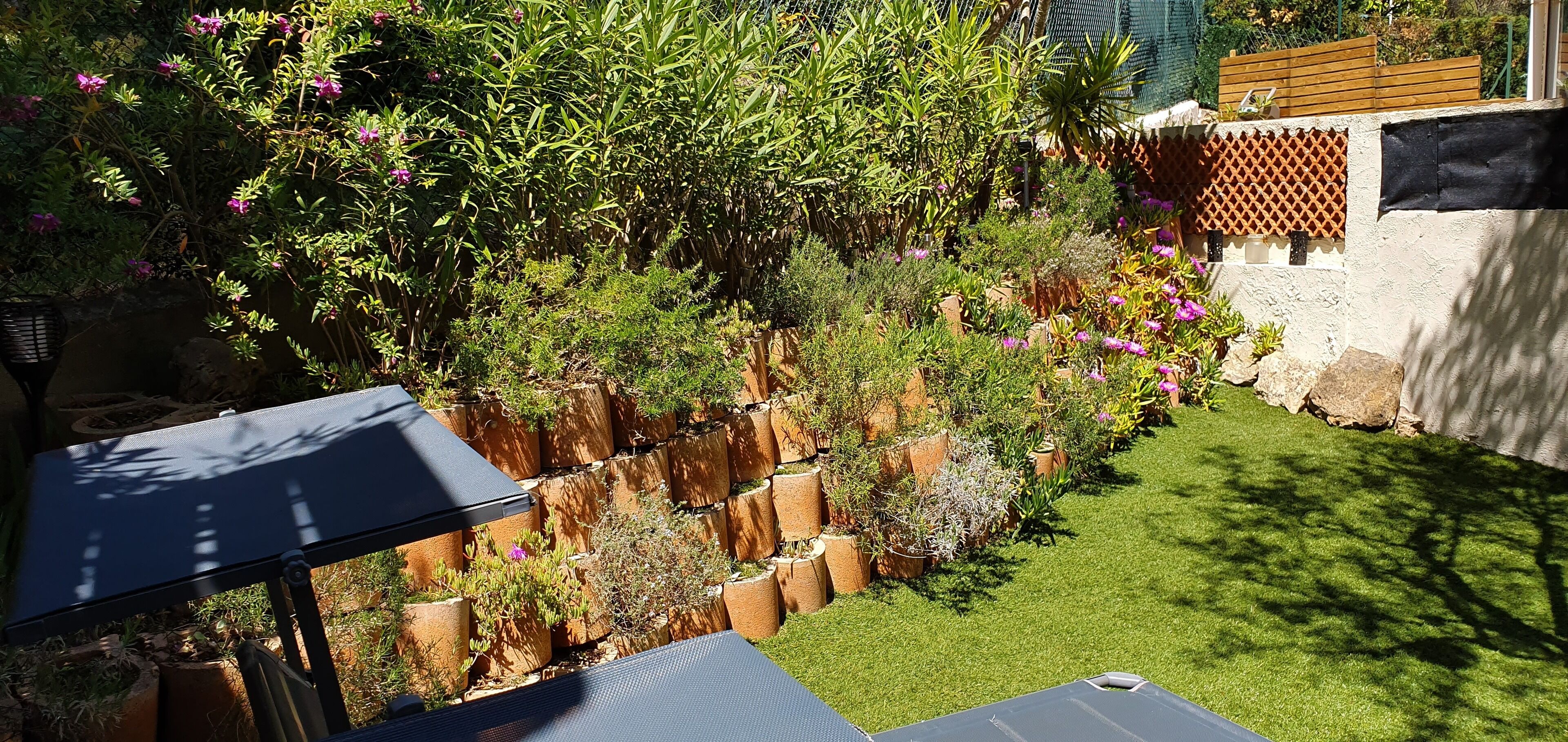 Un jardín con diversas plantas y césped.
