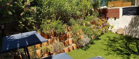 Un jardín con diversas plantas y césped.