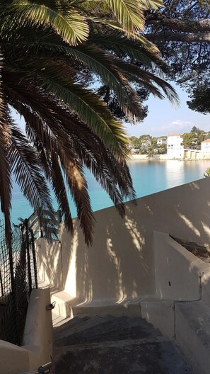 Property grounds - House T3 with terrace and garden in quiet residential area (Bandol)