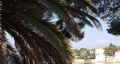 House T3 with terrace and garden in quiet residential area