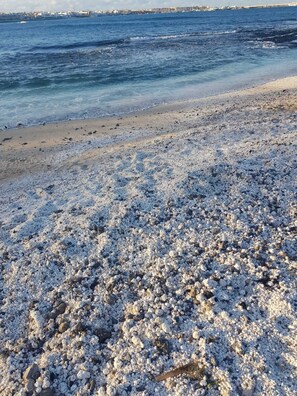 Beach nearby, sun-loungers