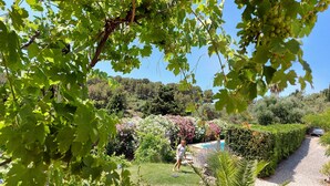 A garden with a pathway, a pool, and a variety of plants and trees.