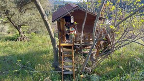A wooden cabin with a ladder leading to a small porch, surrounded by trees and grass.