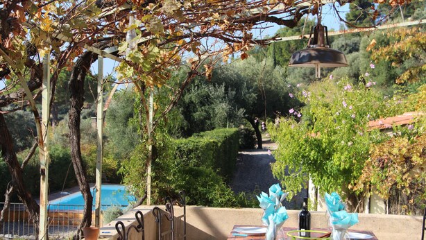 An outdoor dining area with a table set for two, surrounded by a pergola with vines, a view of a pool, and a garden.