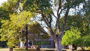 A house with a large tree in front, a bench, and a garden area. - WOODEN HOUSE ON THE GULF OF MORBIHAN (Crach)